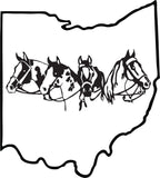 Ohio Pinto Fundraiser