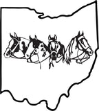 Ohio Pinto Accessories
