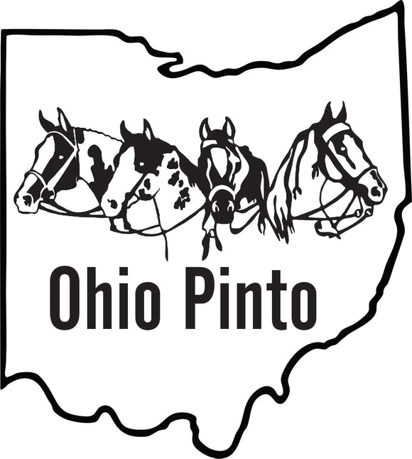 Ohio Pinto