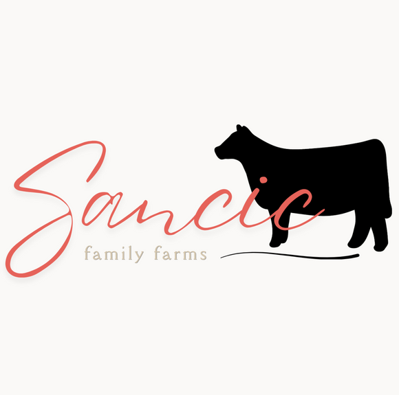 Sancic Show Cattle
