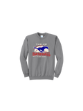 Port & Co™ Core Fleece Crewneck Sweatshirt Youth & Adult