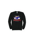 Port & Co™ Core Fleece Crewneck Sweatshirt Youth & Adult