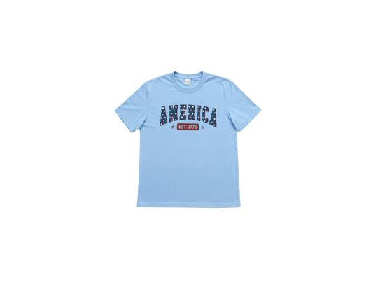AMERICA